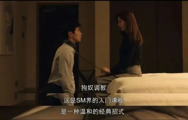【西檬之家】字母圈新人必读：BDSM核心术语与入门指南