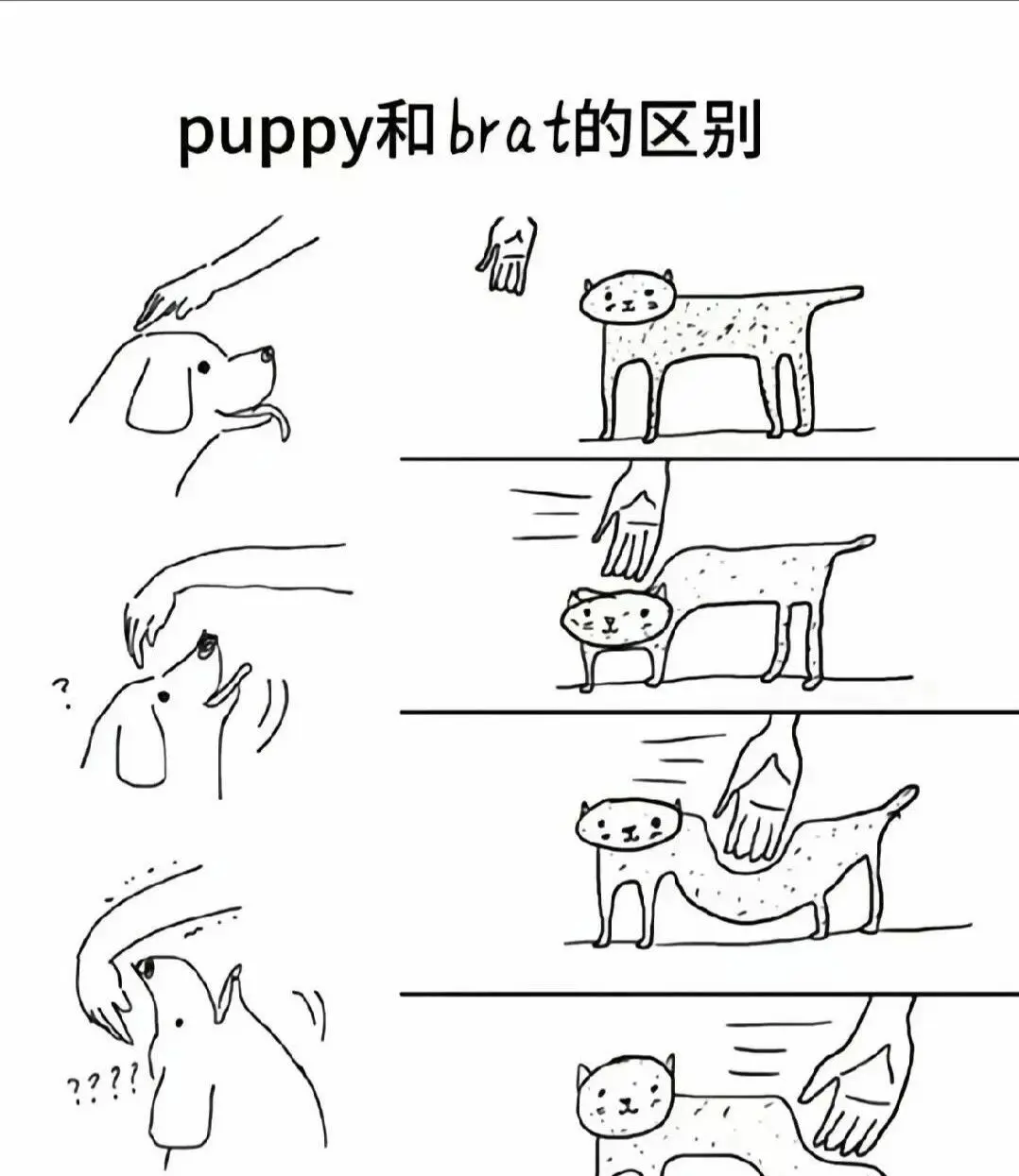 西檬之家-DT是什么？BDSM新人必知的字母圈互动语言