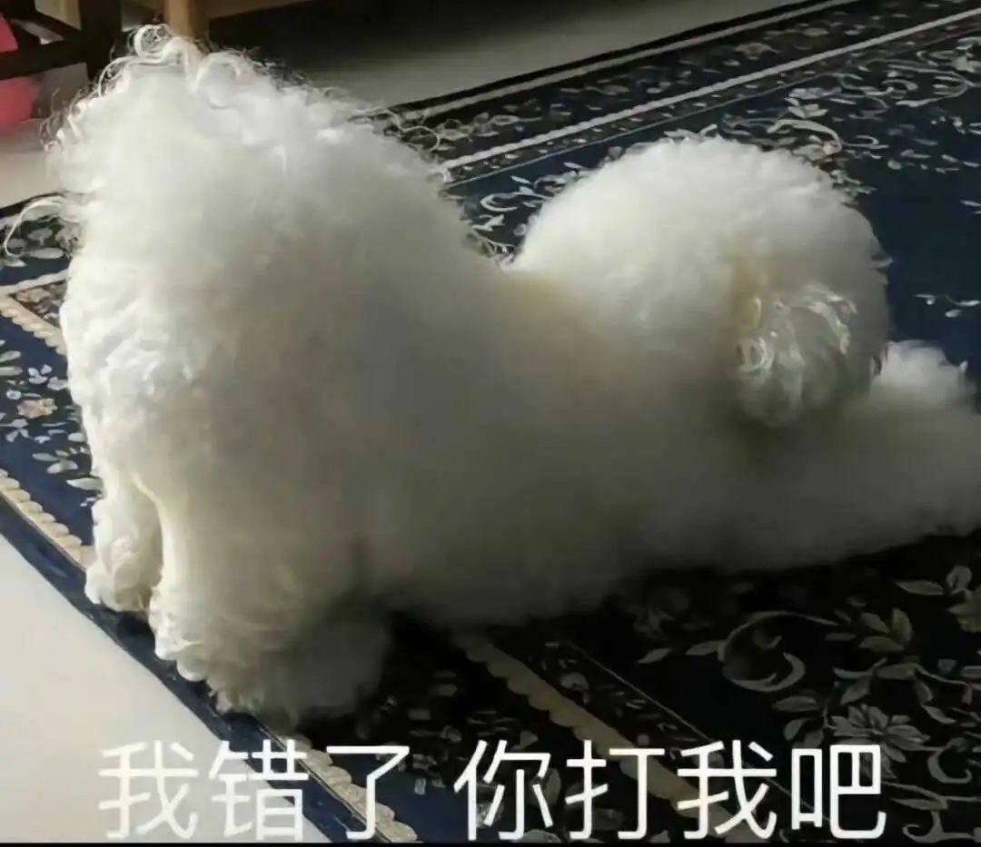西檬之家-字母圈Tickle是什么？BDSM新人入圈指南