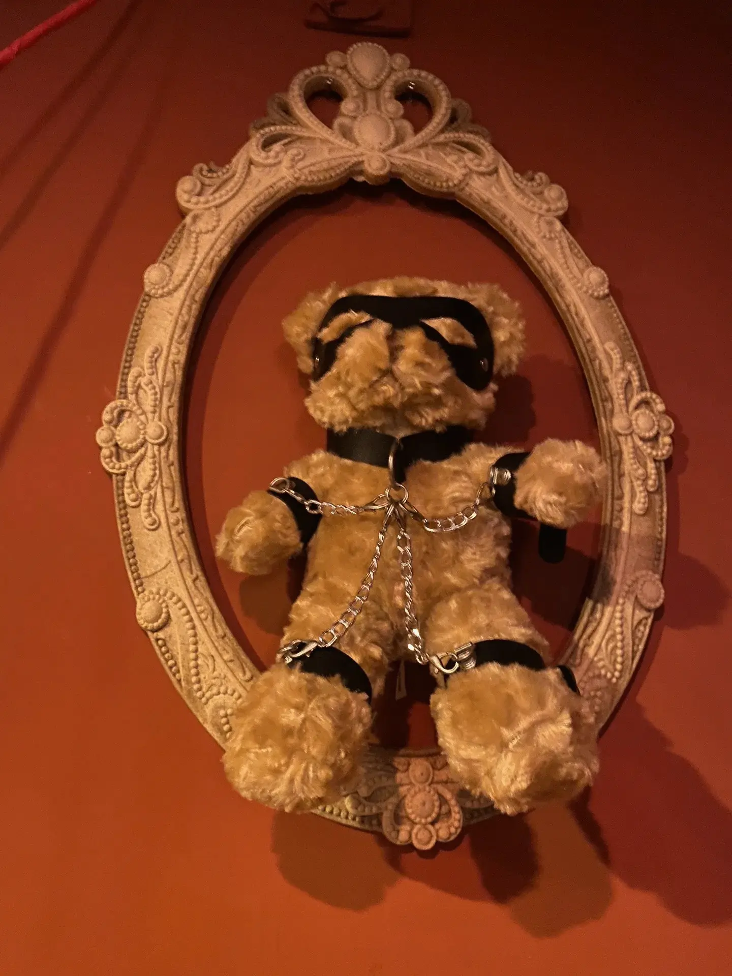 西檬之家-TK是什么意思？字母圈新人权威指南