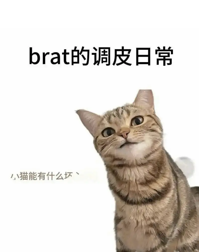西檬之家-圣水是什么？字母圈新人必知的术语与原则