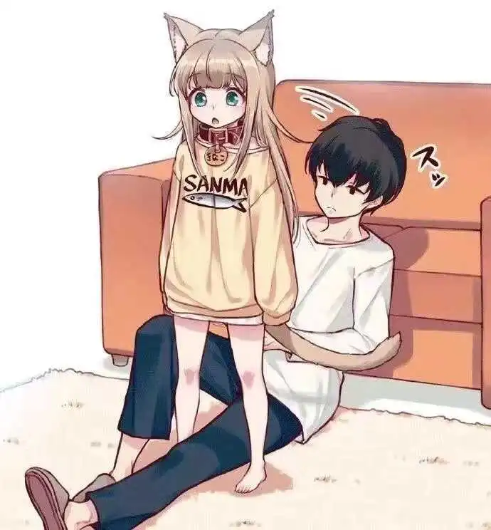 brat属性 - 2023_11_28_20_58_IMG_9172