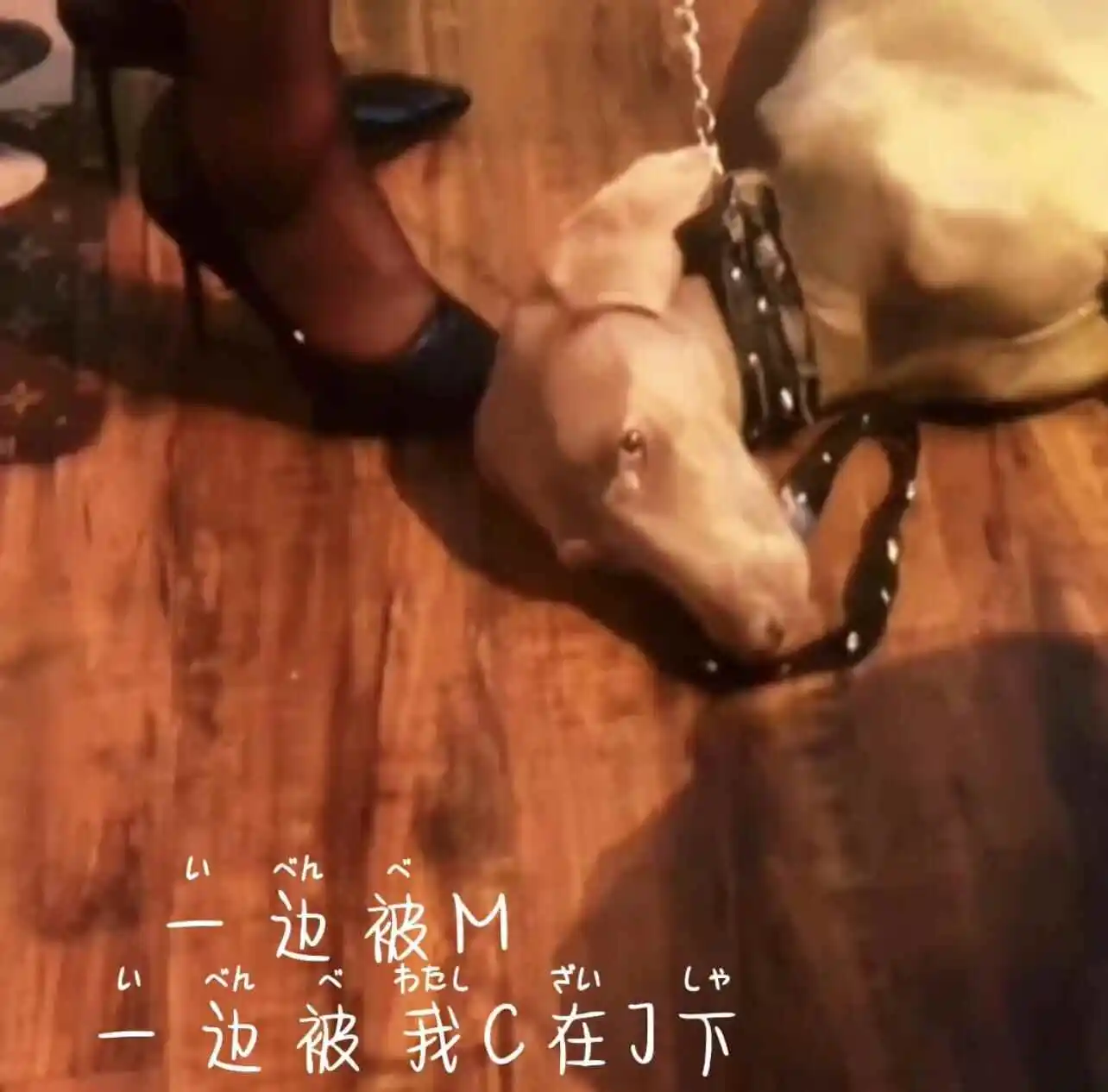 【西檬之家】圣水在BDSM中意味着什么？新人入圈必读指南