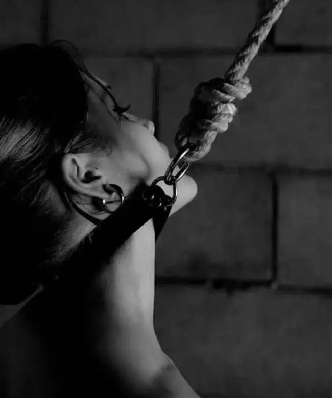 S倾向 - 微信图片_20251203212920_111_19