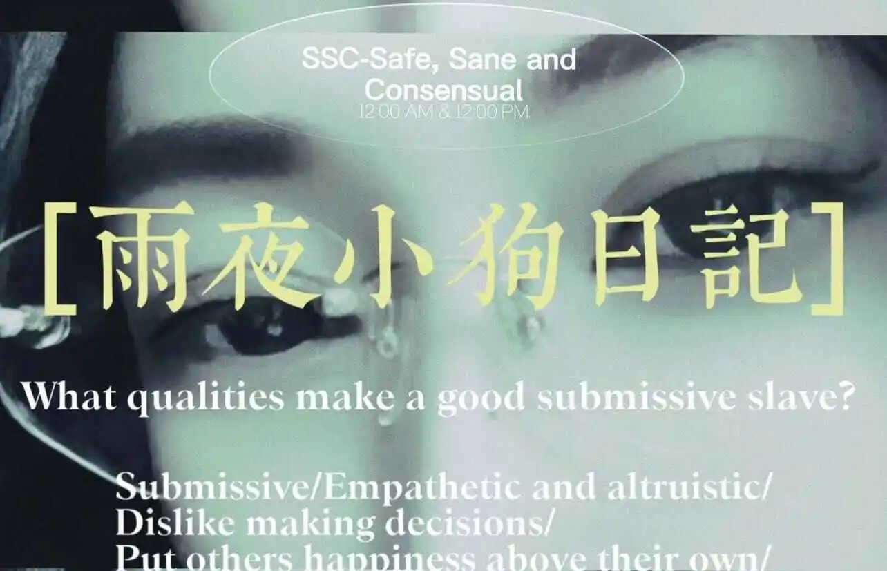 Dom - 微信图片_20240708154450